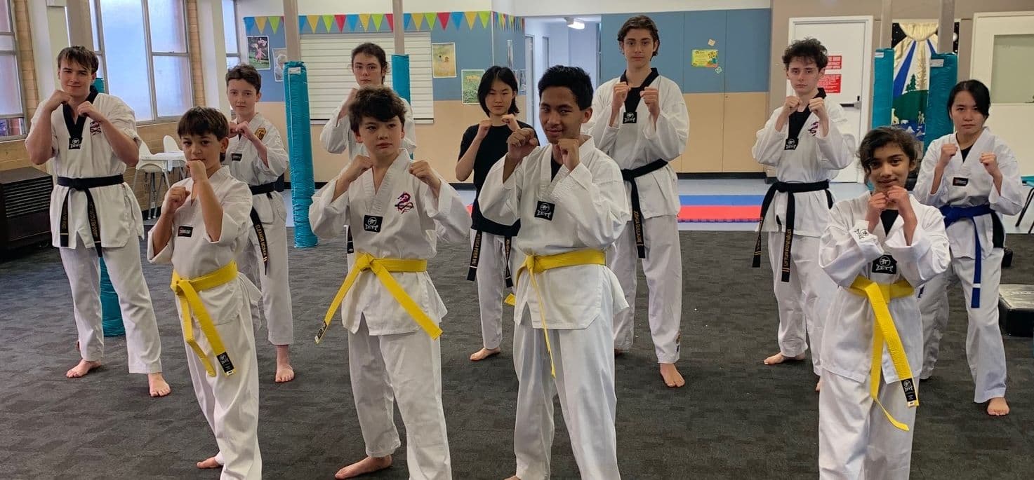 Northern Dragons Taekwondo Logo on Kidsbook