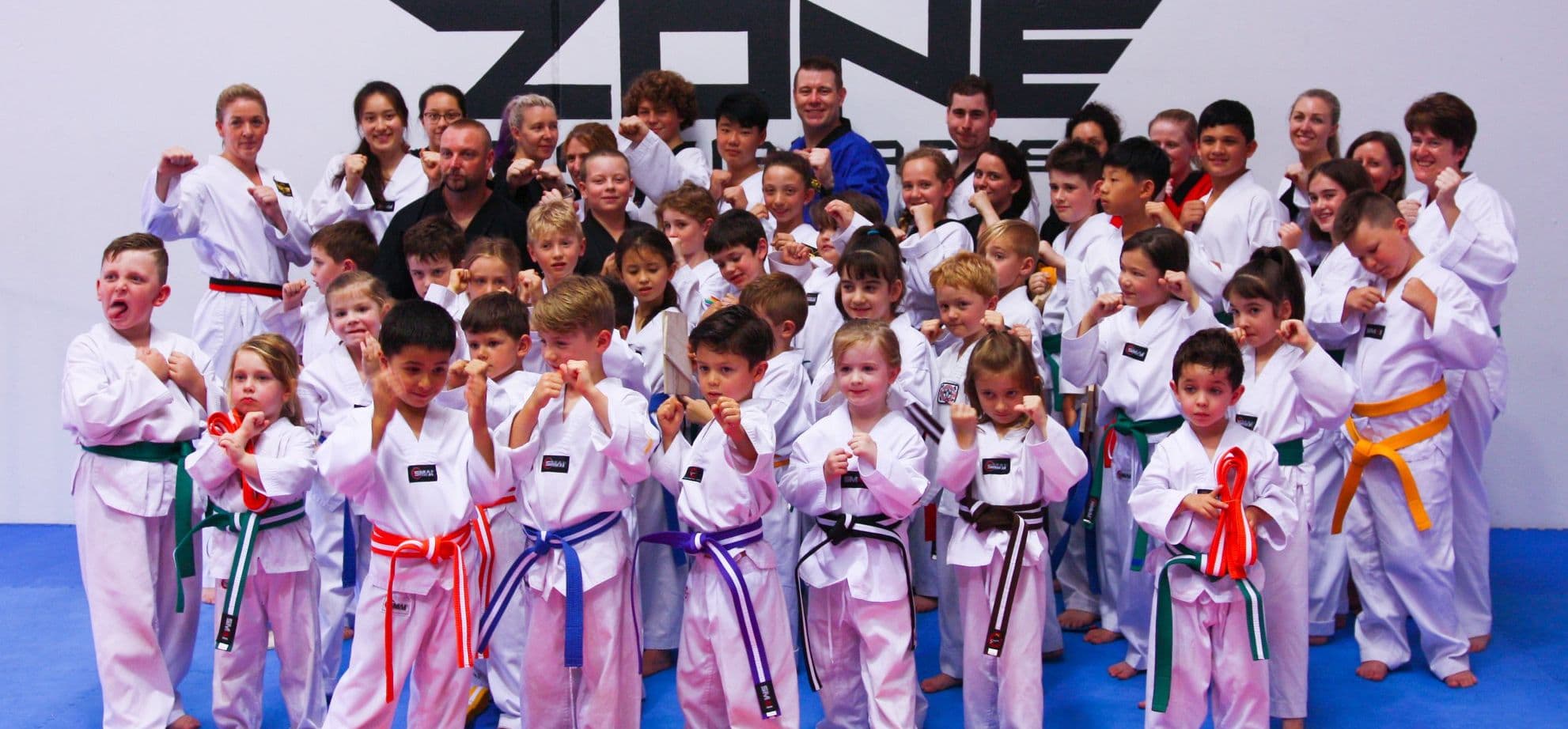 Zone Martial Arts Logo on Kidsbook