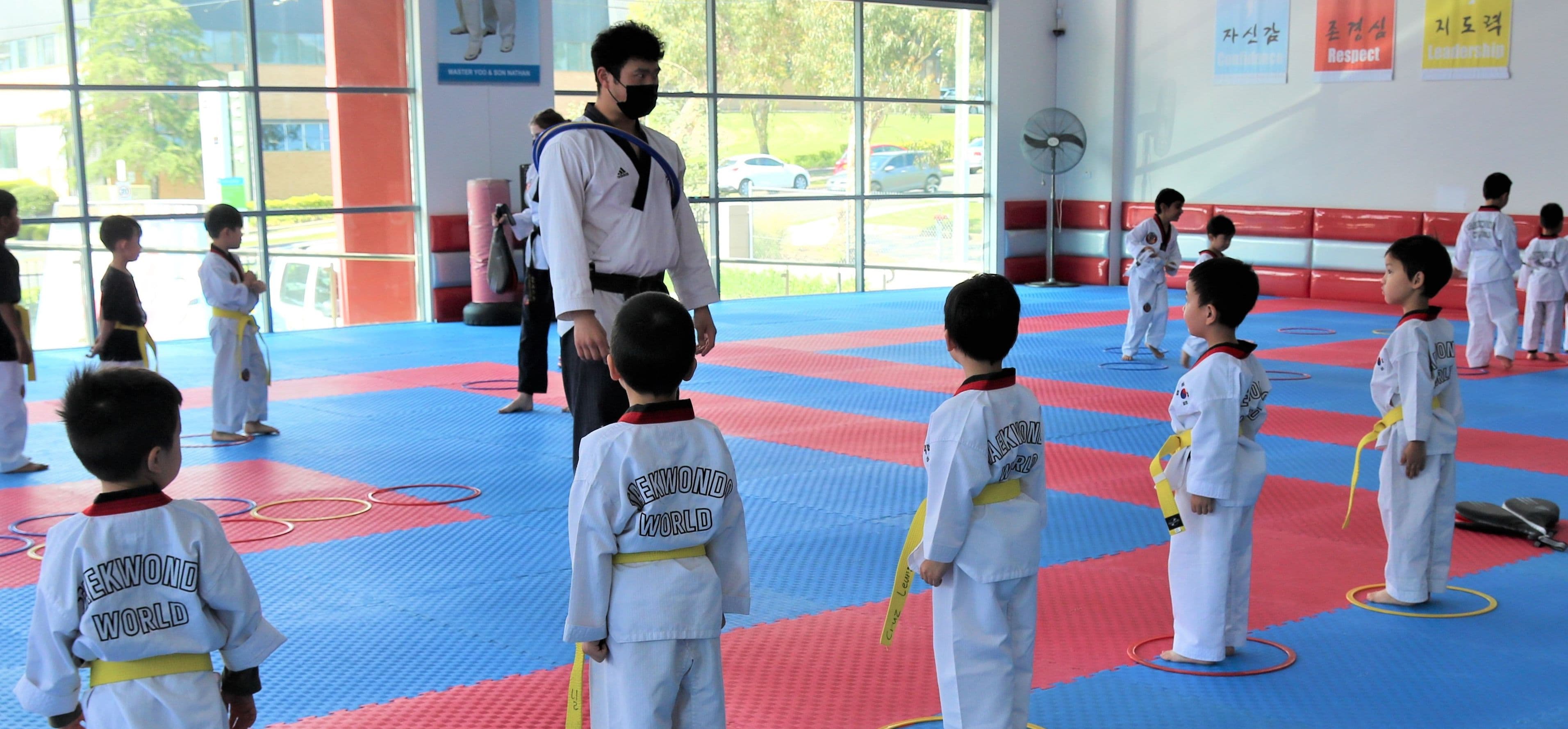 Taekwondo World Martial Arts Logo on Kidsbook