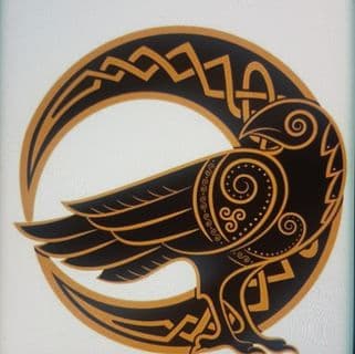 Blackbird Academy of Irish Dancing Logo on Kidsbook