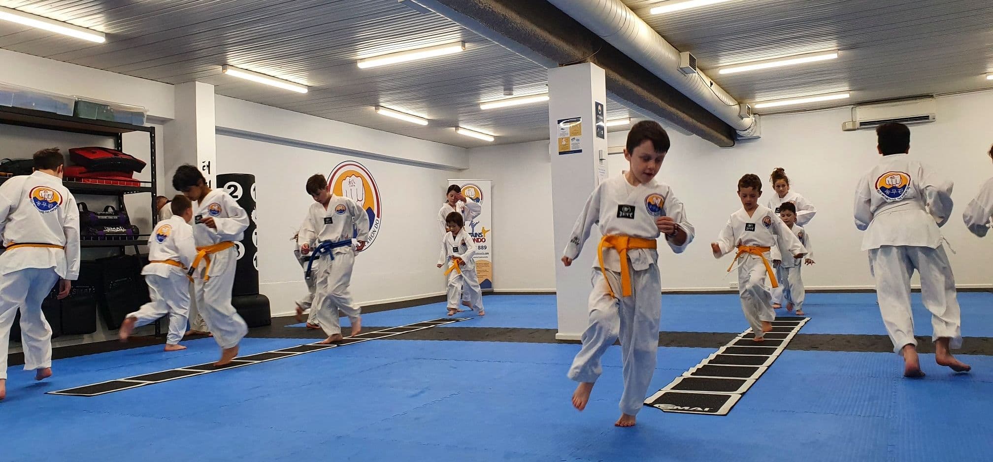 Blue Mountains Taekwondo Logo on Kidsbook