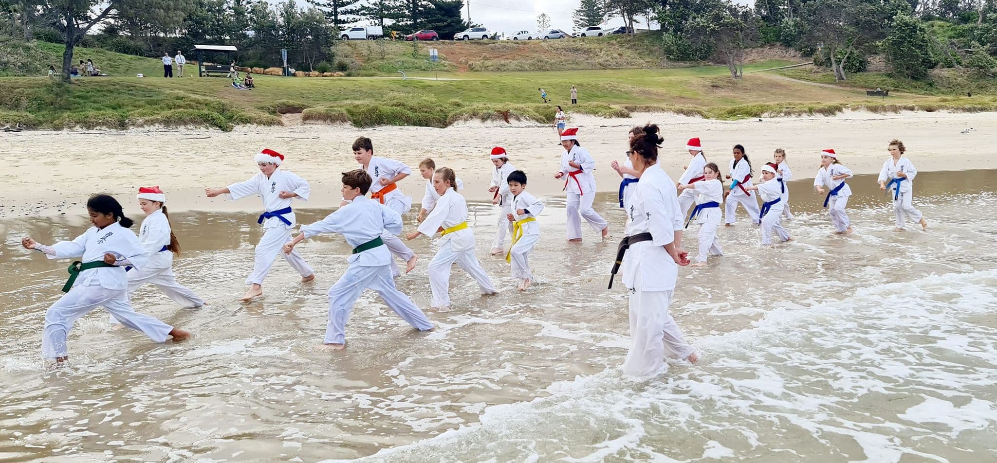 Shinkyokushinkai Karate Port Macquarie Dojo Logo on Kidsbook