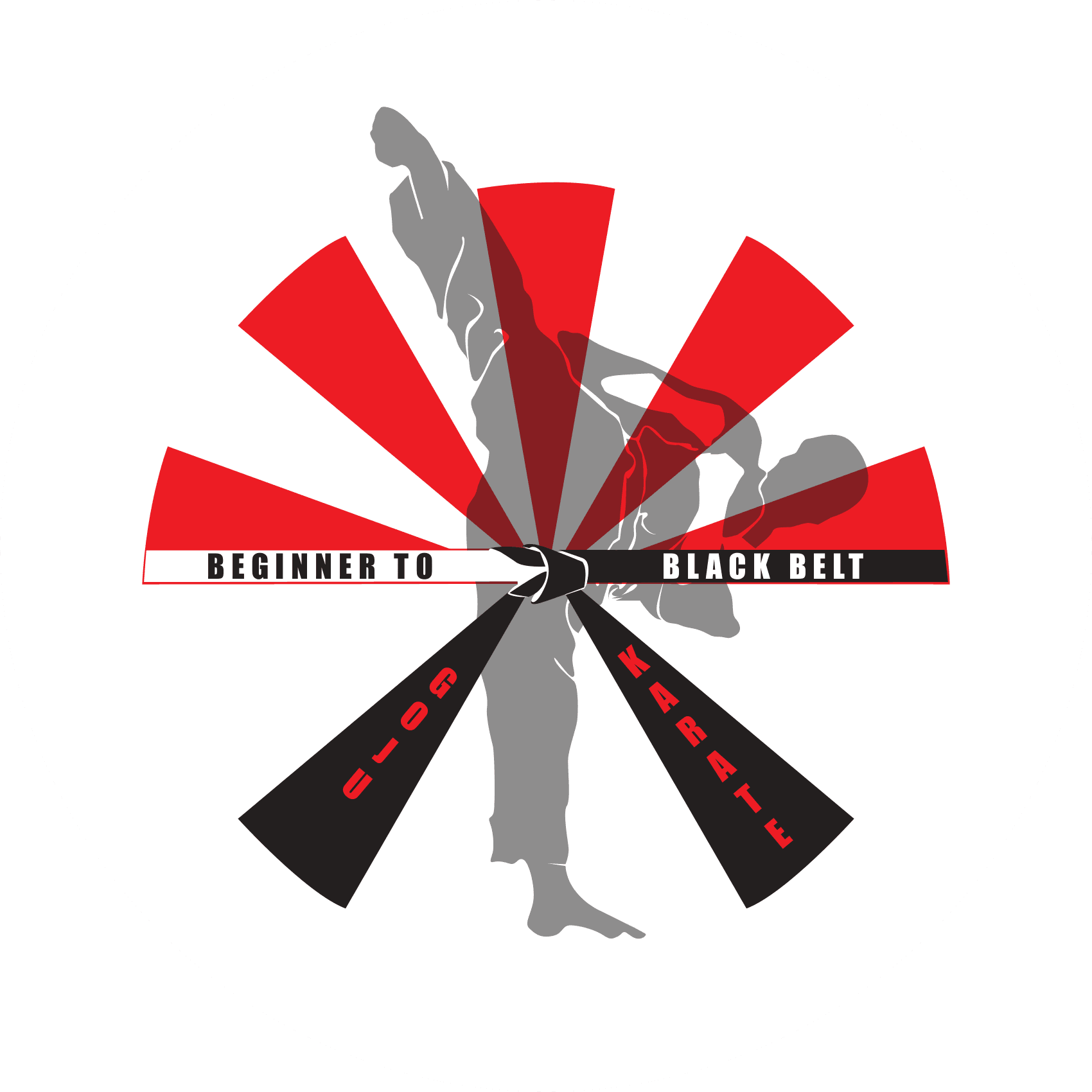 Beginner to Black Belt Goju Karate Logo on Kidsbook