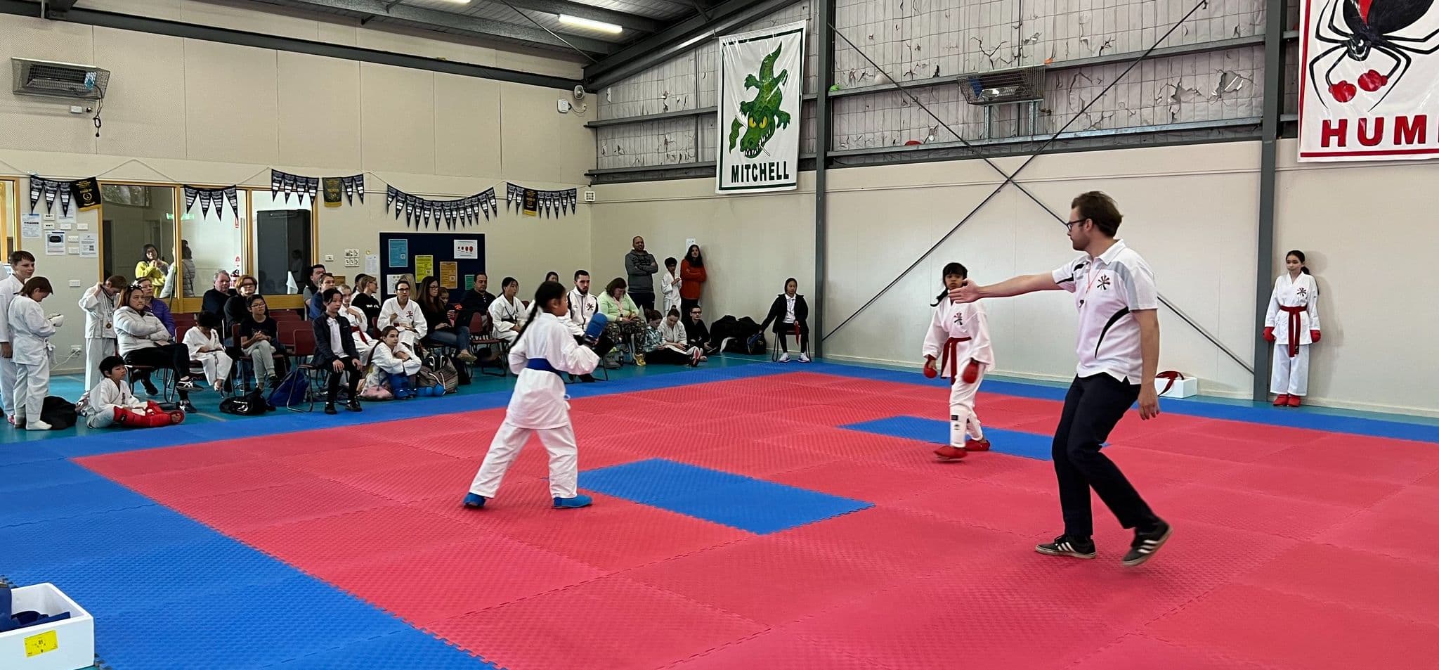 Beginner to Black Belt Goju Karate Logo on Kidsbook