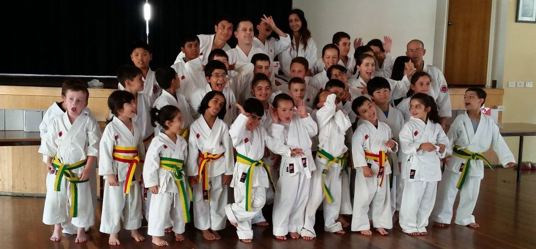 SDE Martial Arts Logo on Kidsbook
