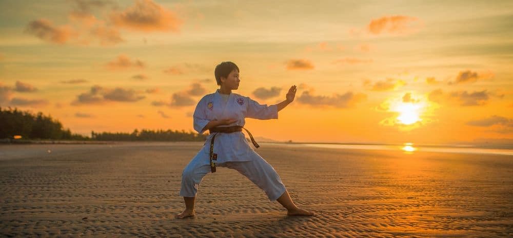 Northern Shukokai Karate (Melbourne Martial Arts Clubs) Logo on Kidsbook