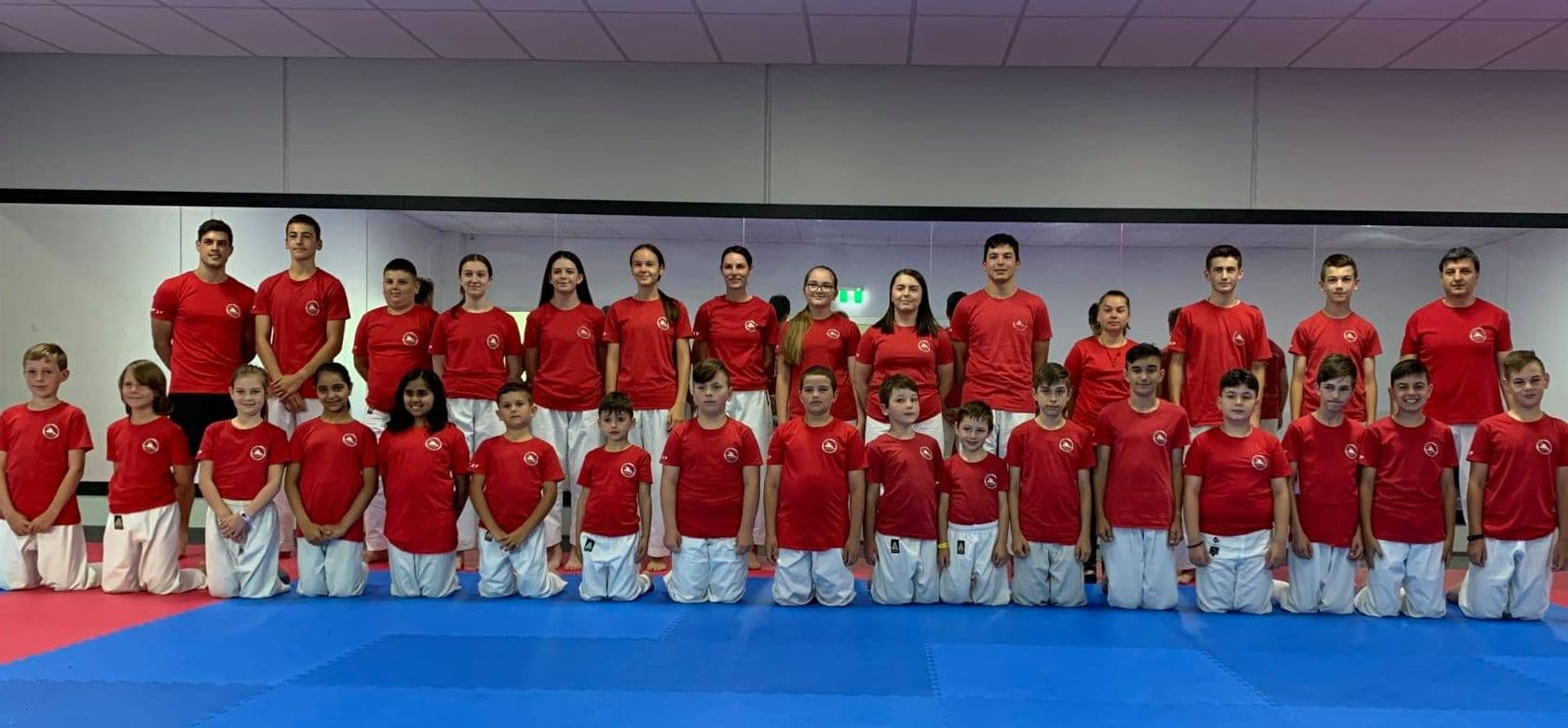 Yoseikan Karate Melbourne Logo on Kidsbook