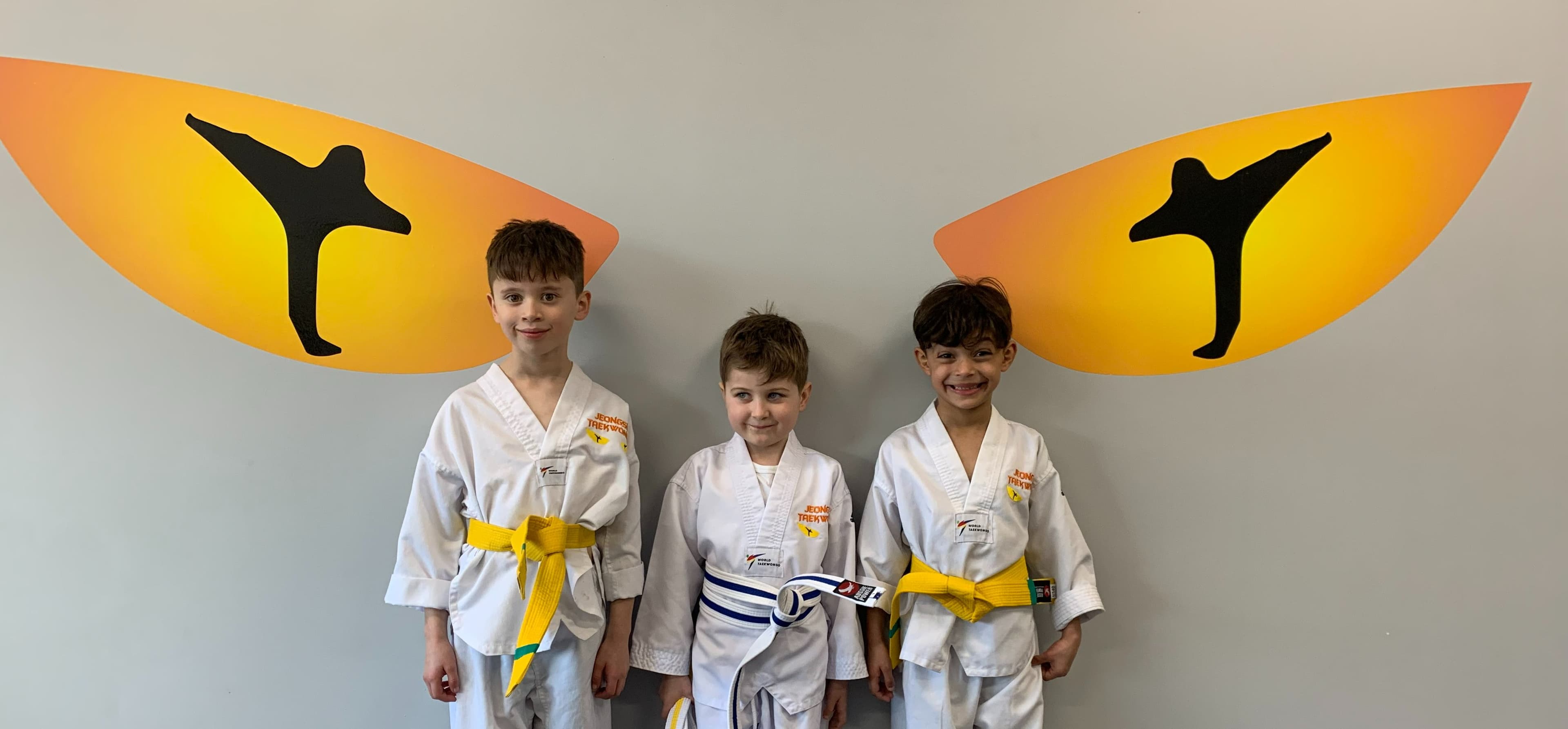 Jeongsin Taekwondo Logo on Kidsbook